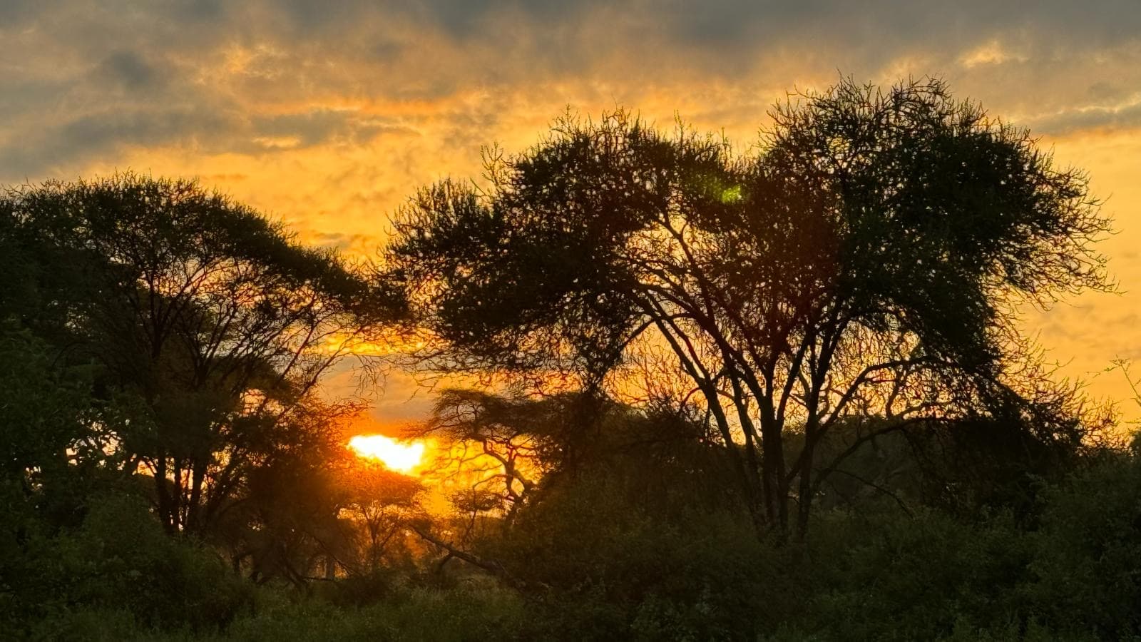 6-Day Northern Tanzania Classic Safari