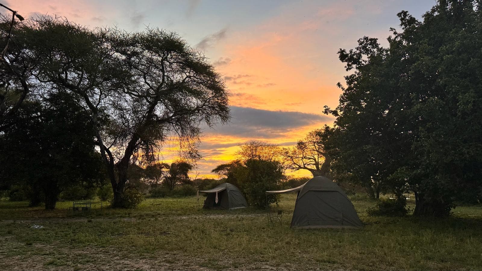 6-Day Migration Trail Safari (Kogatende Fly-Out)